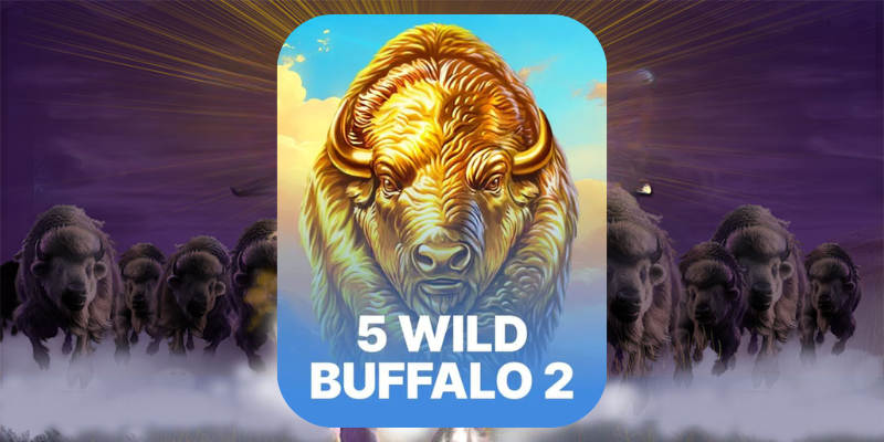5 wild buffalo 2